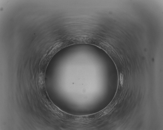 X0000066491107200603311632