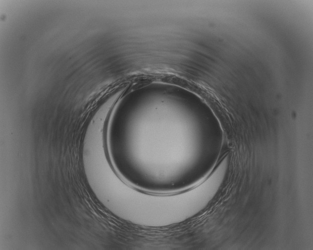 X0000066491110200603311632
