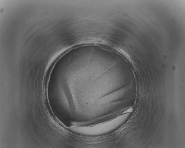 X0000066491120200603311633