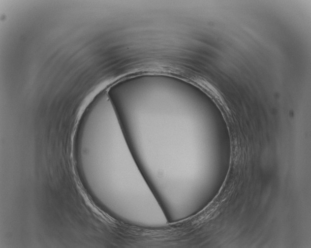 X0000066491128200603311633