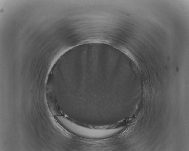 X0000066491132200603311633