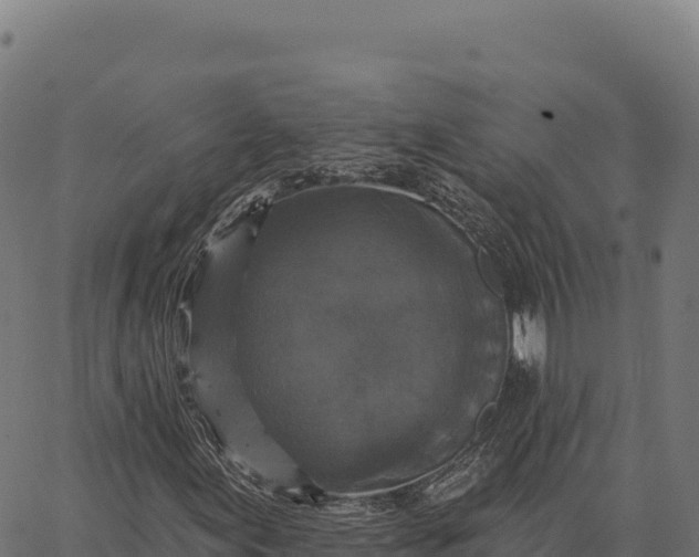 X0000066491155200603311632