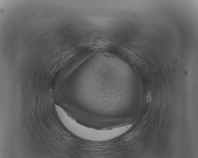 X0000066491156200603311632