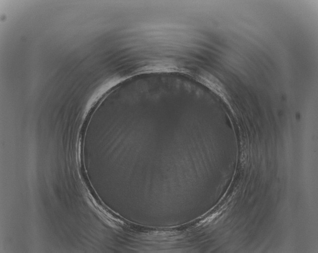 X0000066491179200603311632