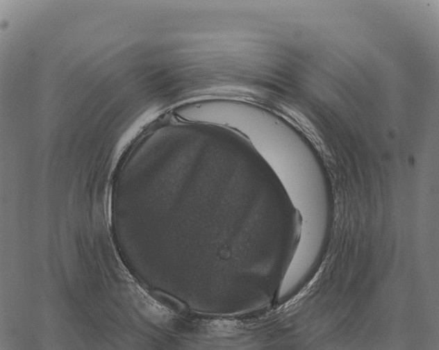 X0000066491180200603311632
