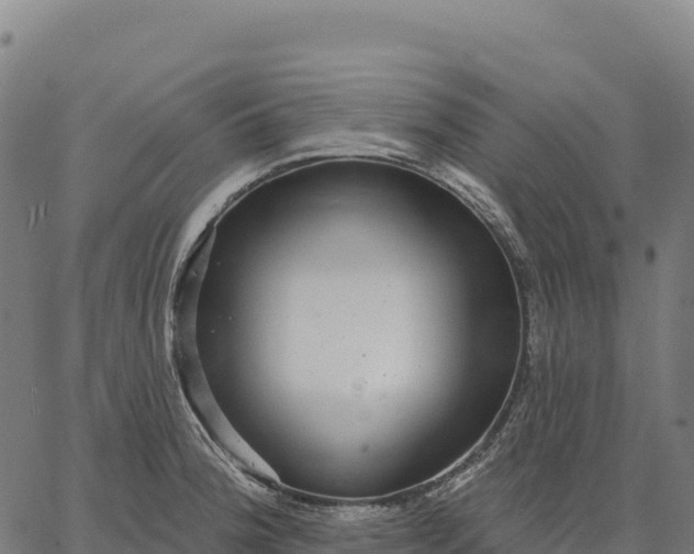 X0000066491188200603311632