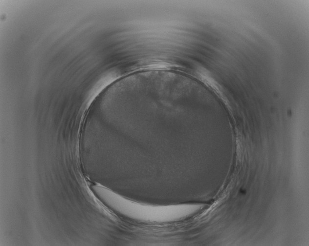 X0000066491194200603311632