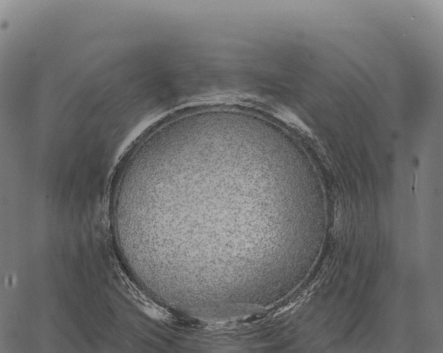X0000066491216200603311631