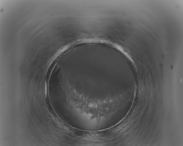 X0000066491221200603311631