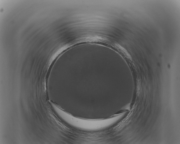 X0000066491226200603311631