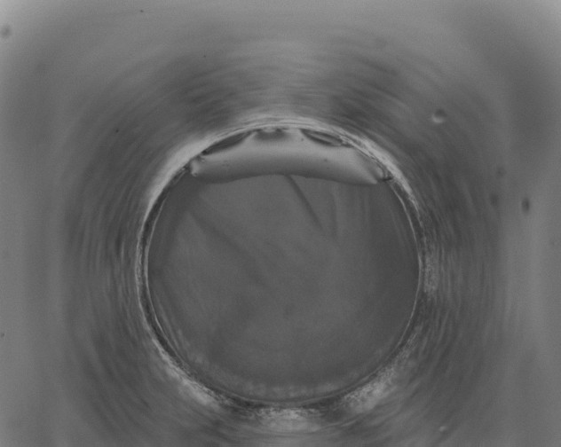 X0000066491231200603311631
