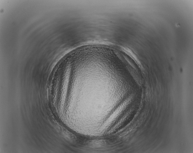 X0000066491268200603311630