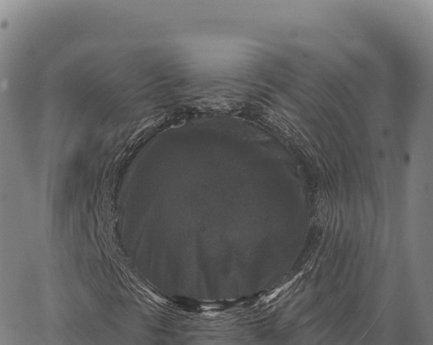 X0000066491297200603311629