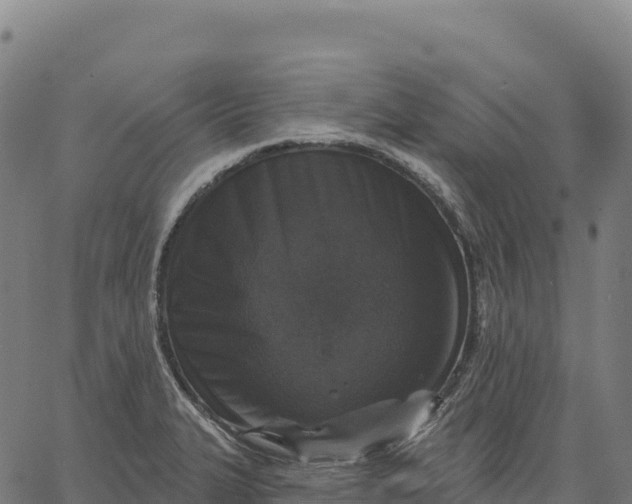 X0000066491327200603311630