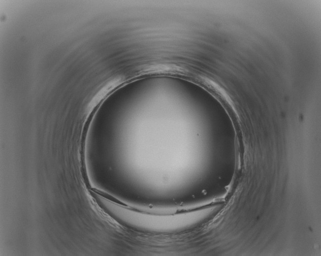X0000066491330200603311630