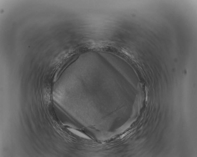 X0000066491348200603311629