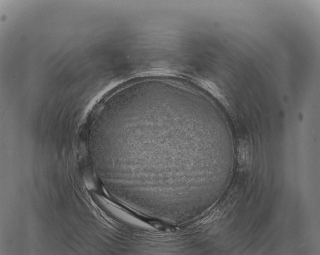 X0000066491356200603311629