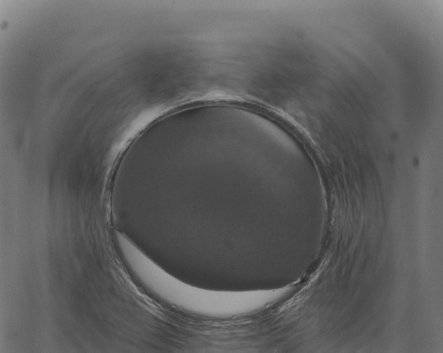 X0000066491367200603311629