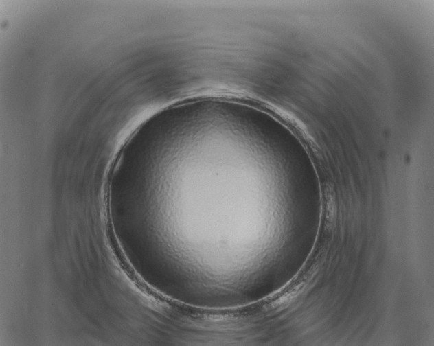 X0000066491375200603311629