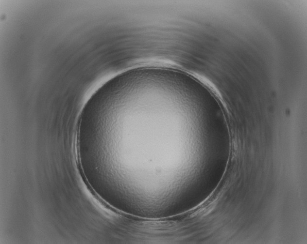 X0000066491391200603311628