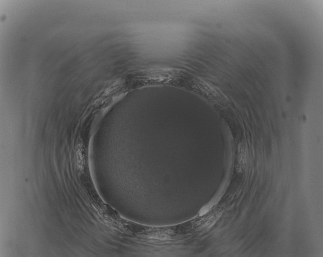 X0000066491394200603311628