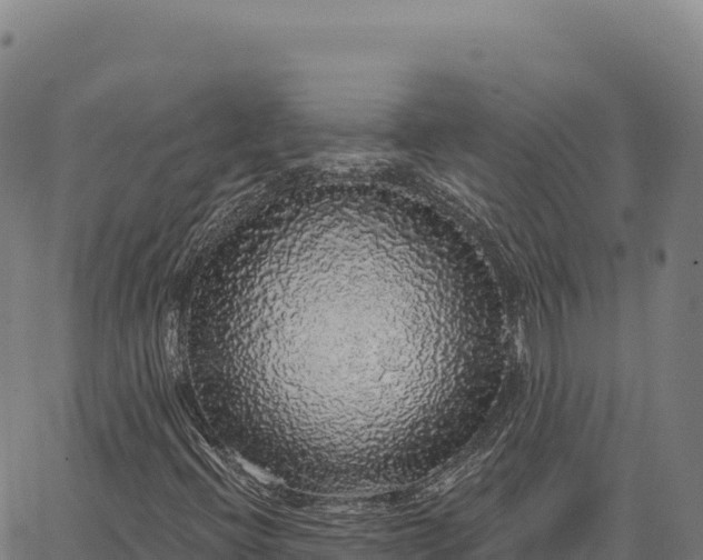 X0000066491396200603311628