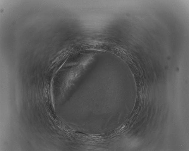X0000066491397200603311628