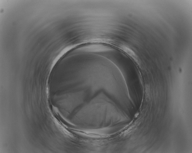 X0000066491428200603311628