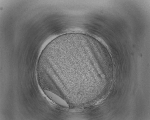 X0000066491440200603311628
