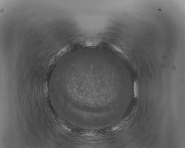 X0000066491443200603311628