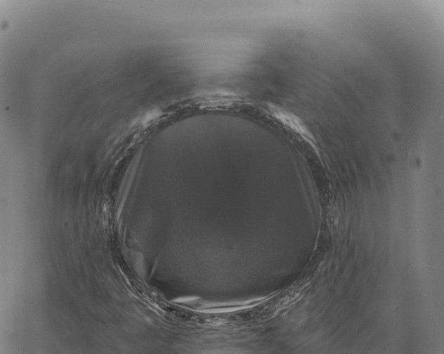 X0000066491445200603311627