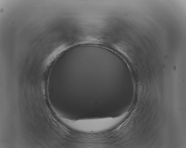 X0000066491455200603311627