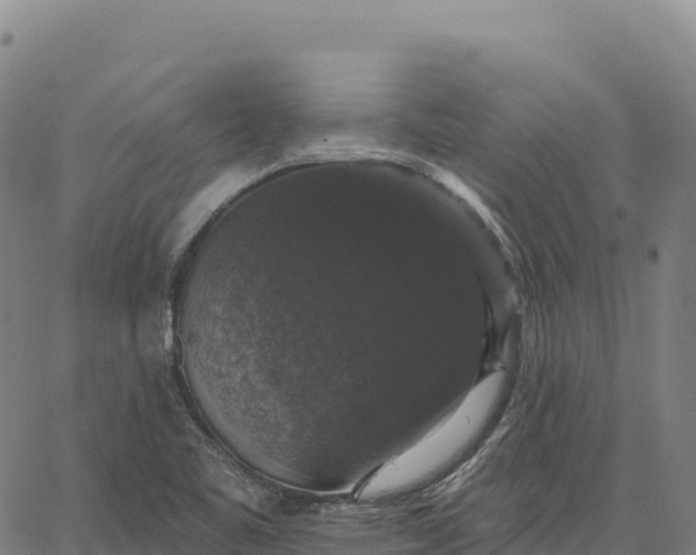 X0000066491461200603311627
