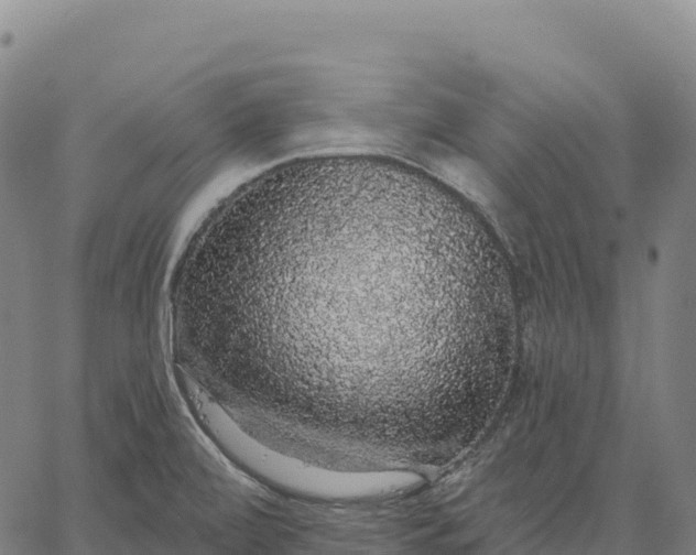 X0000066491472200603311627