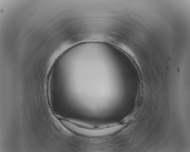 X0000066491480200603311627