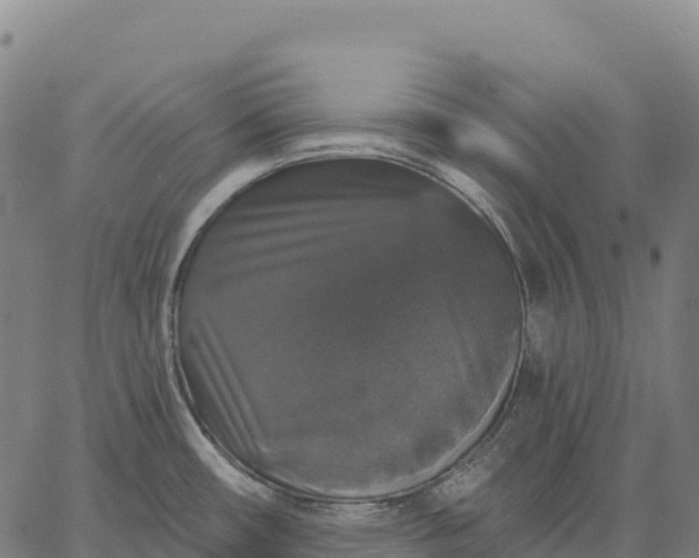 X0000066491482200603311627