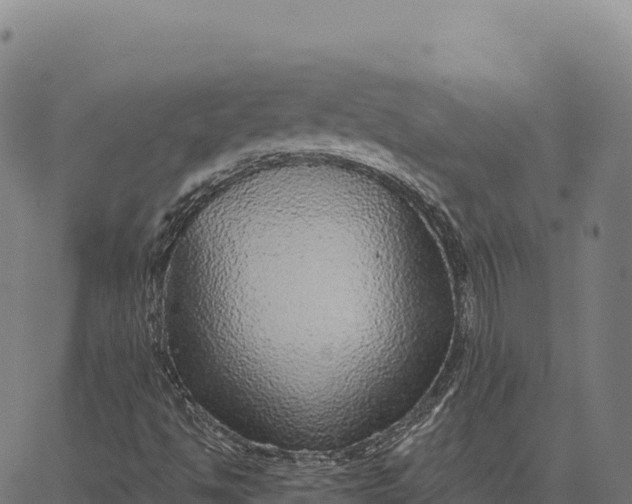 X0000066491494200603311626