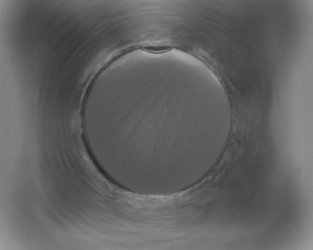 X0000066490002200604072227