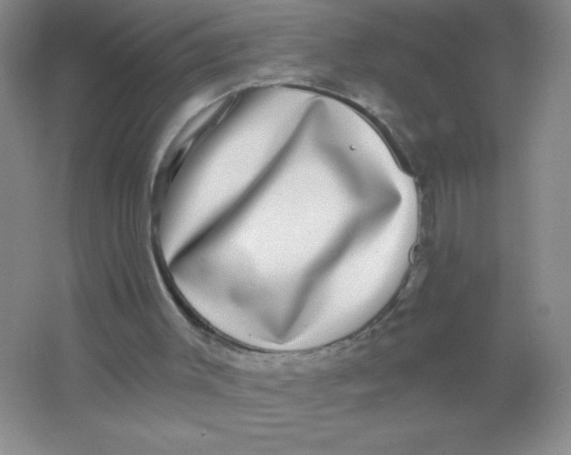 X0000066490003200604072227