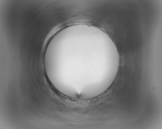 X0000066490004200604072227