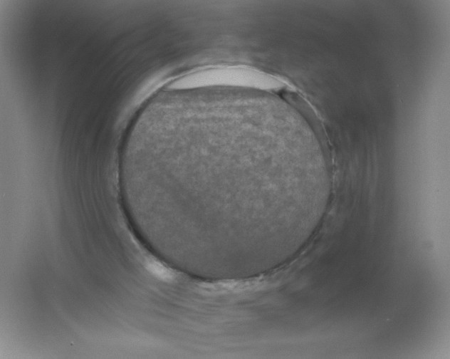 X0000066490005200604072227