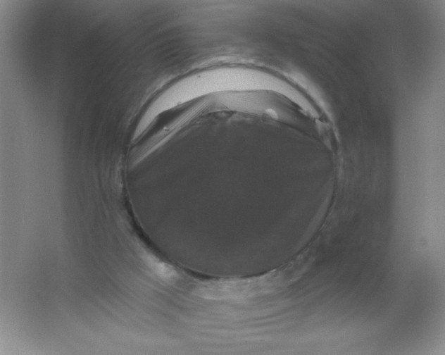 X0000066490009200604072227