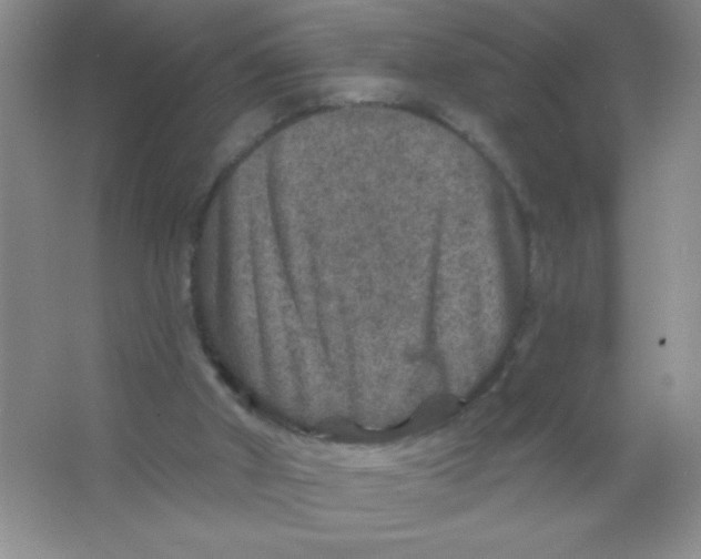 X0000066490010200604072227