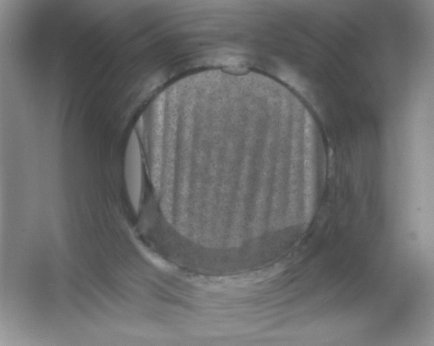 X0000066490013200604072227