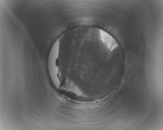 X0000066490017200604072227