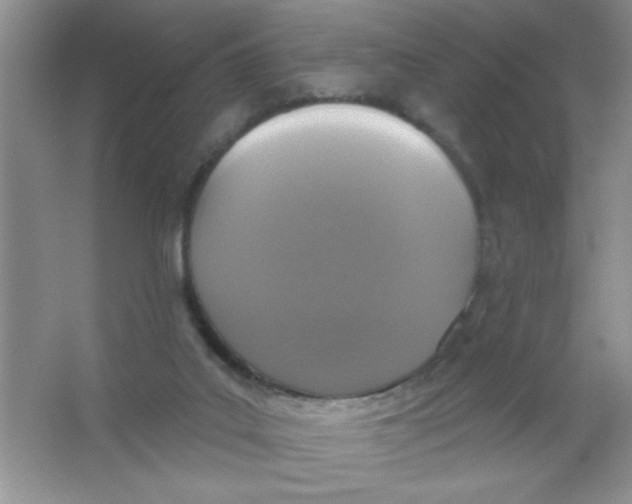 X0000066490019200604072227