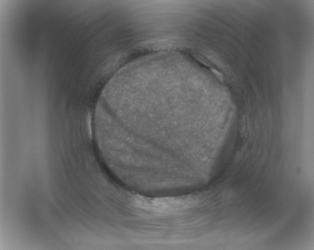 X0000066490022200604072226