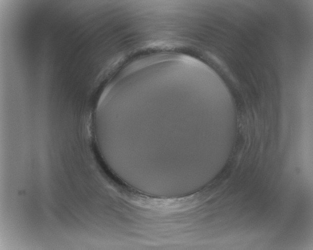 X0000066490023200604072226