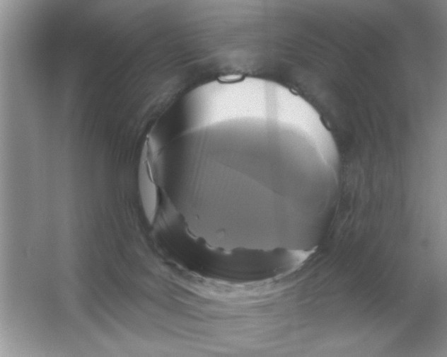X0000066490027200604072226