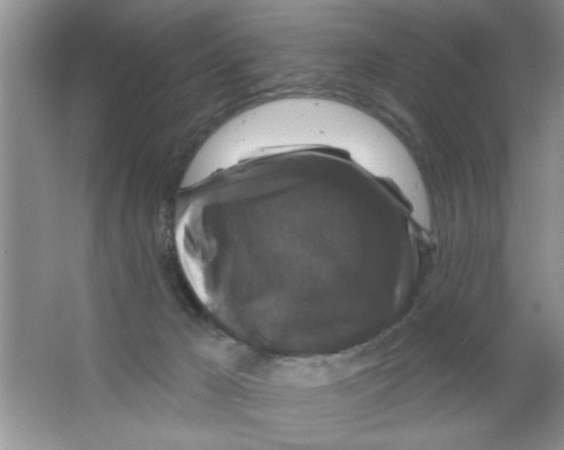 X0000066490029200604072226